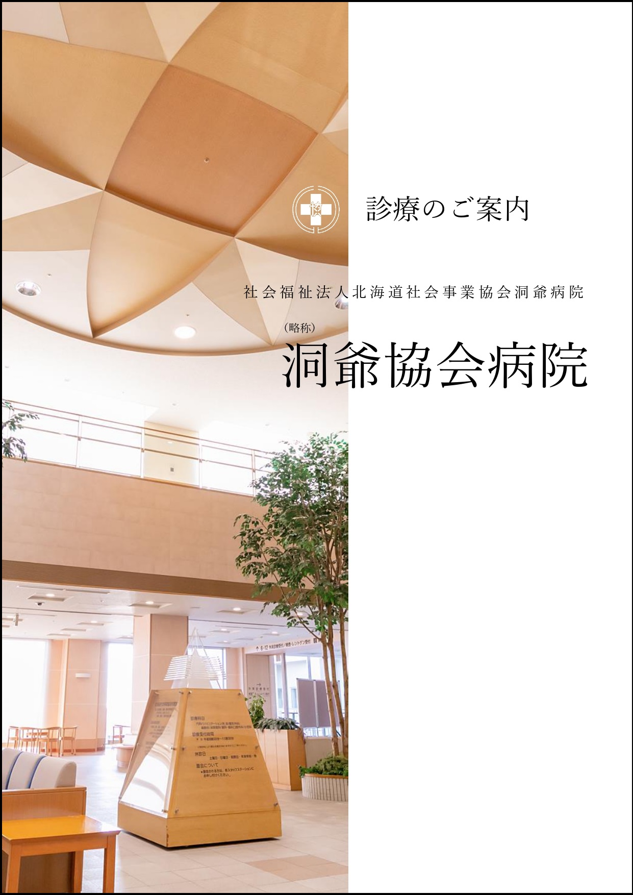 brouchour_cover_toya_2022.jpg